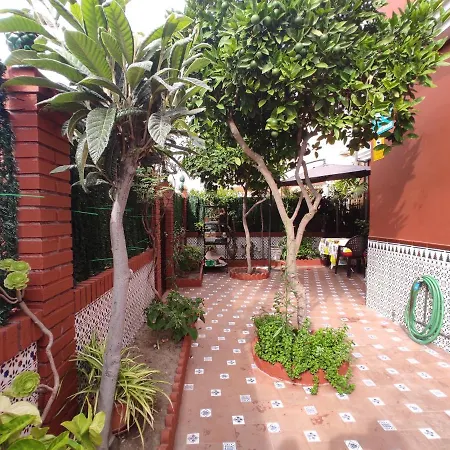 Patricia Homestay *
