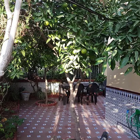 Patricia Homestay