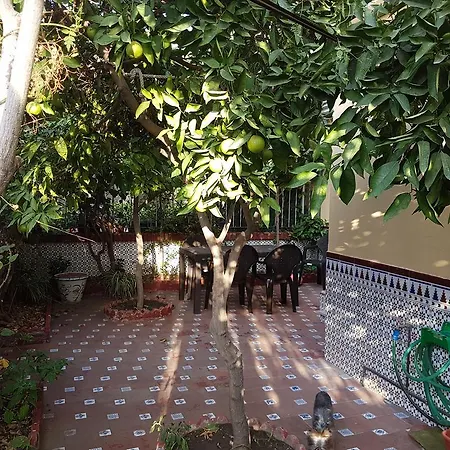 Patricia Homestay